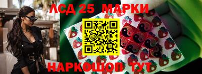 гидропоника Кунгур