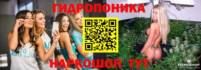 гашик Кумертау